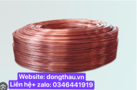 DÂY DỒNG ĐỎ PHI 2