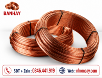 Cáp tiếp địa đồng trần M10