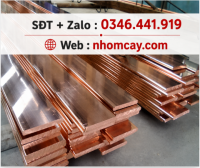 Đồng thanh cái 5x60